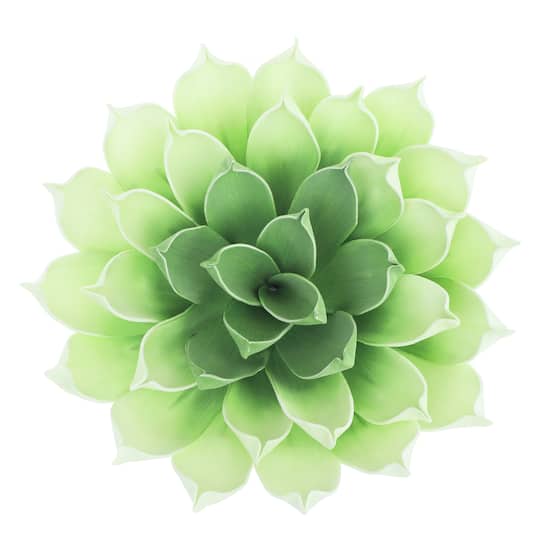 Green &#x26; Cream Decorative Succulent by Ashland&#xAE;